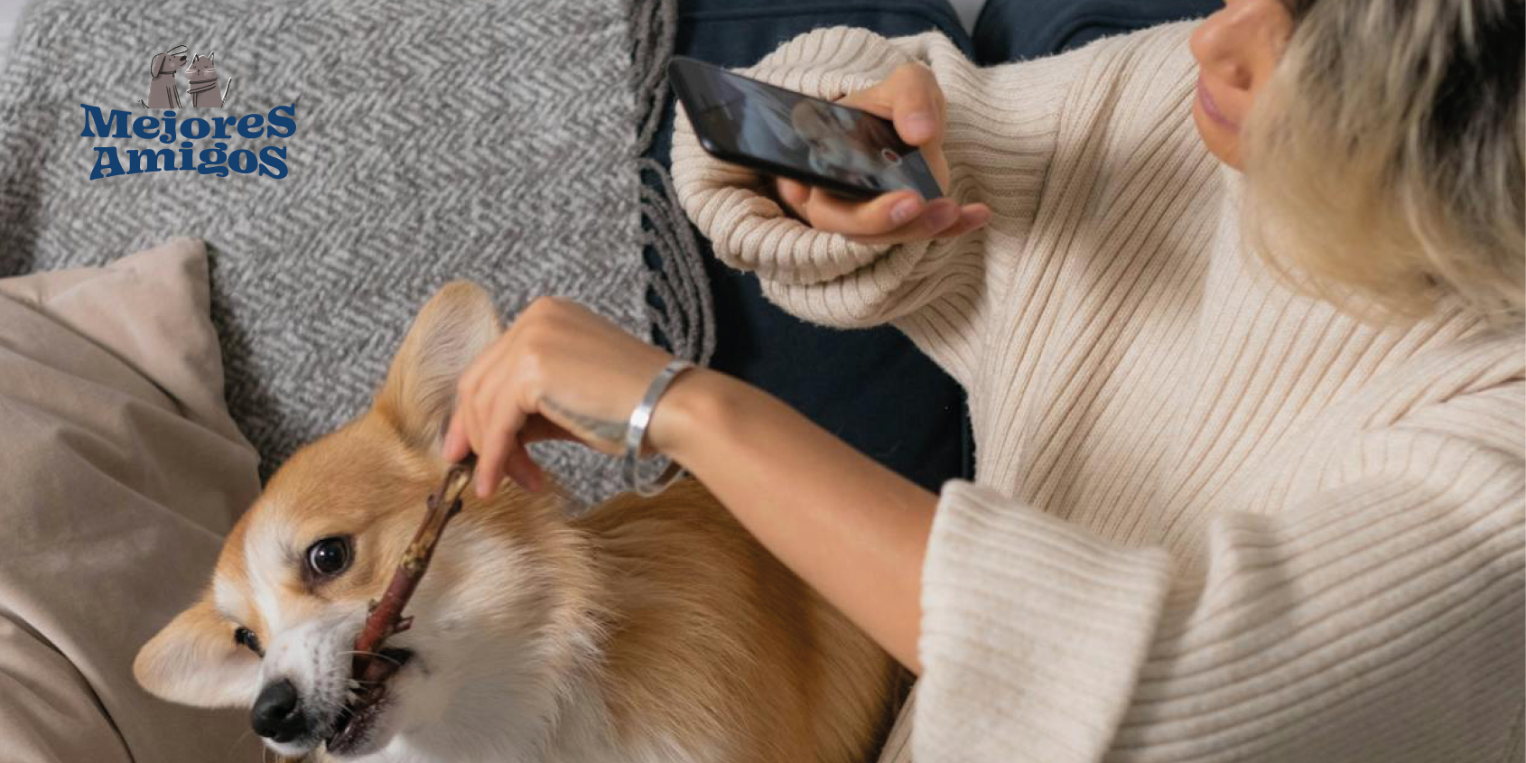 Lomitos y michis listos para Instagram