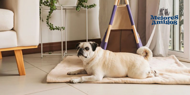 Consejos de limpieza para padres ocupados