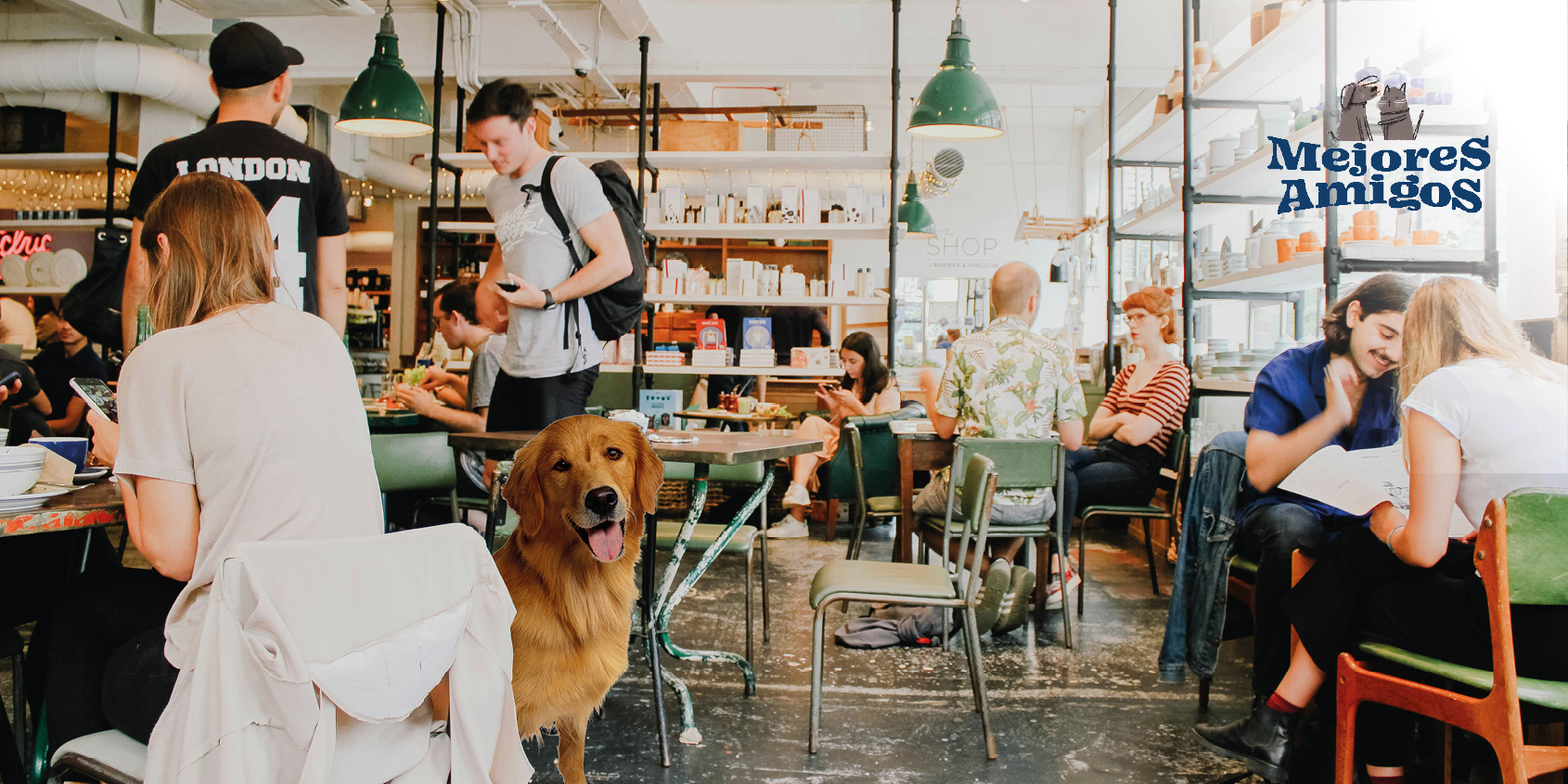 Espacios pet friendly