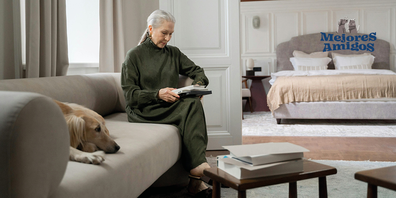 Mantén tu tapicería y alfombras limpias.