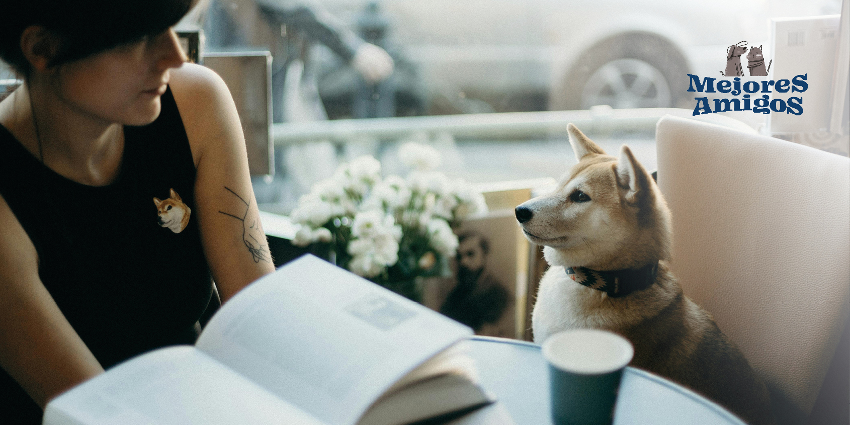 Cafeterías pet friendly