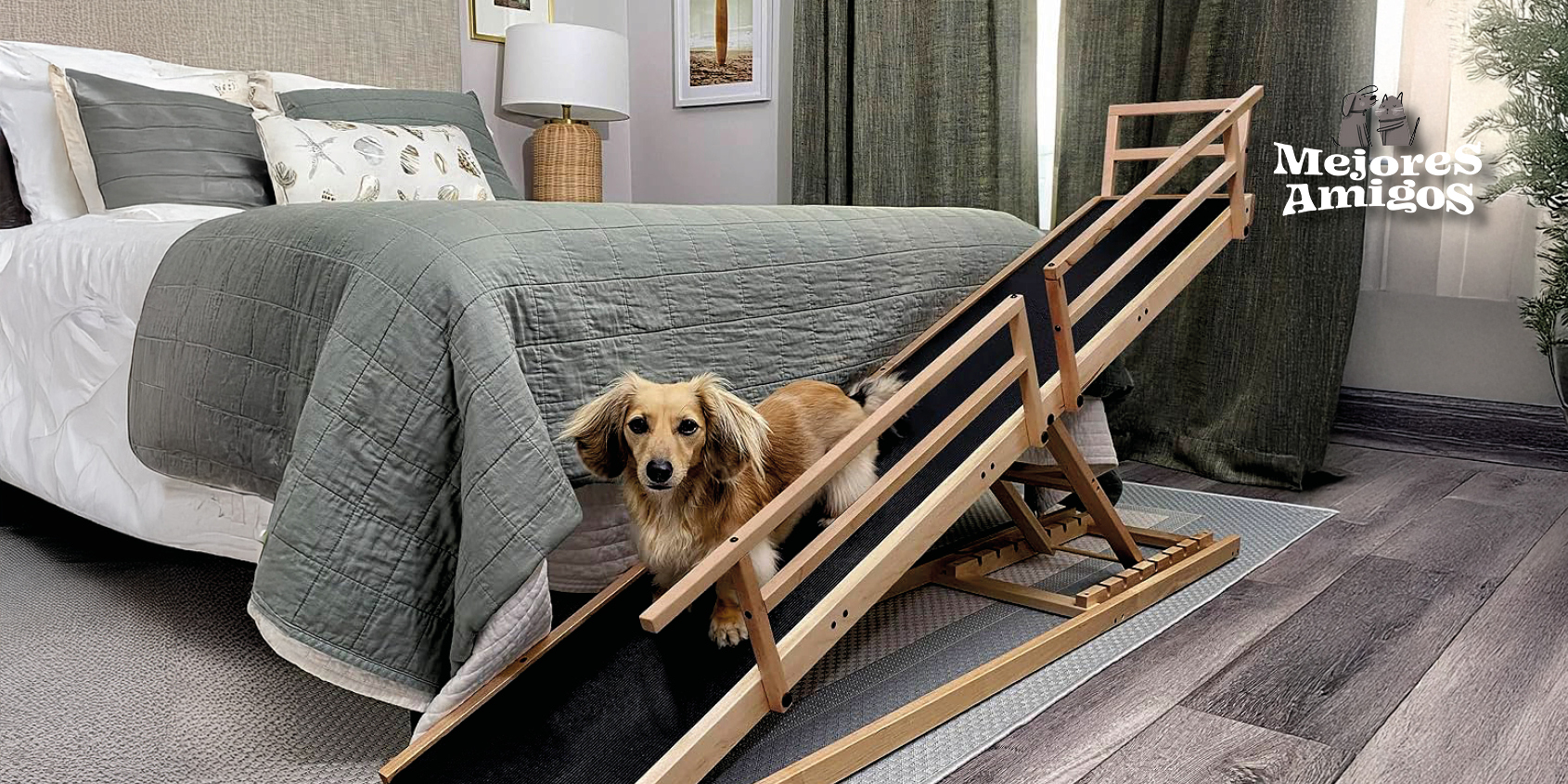 decoración pet friendly